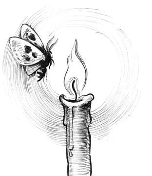 Burning candle and moth Stock Illustration