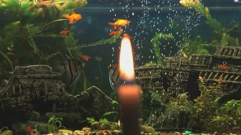 Burning candle on the background of the aquarium Stock Footage 76945384