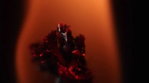 Burning candle close up Stock Footage 85943572
