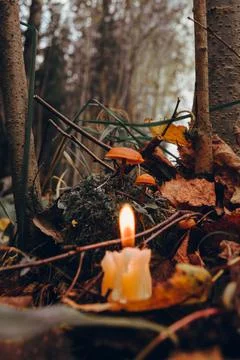 Burning candle, a symbol of the moon, toadstools on green moss on a dark natu Stock Photos