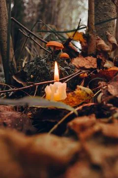 Burning candle, a symbol of the moon, toadstools on green moss on a dark natu Stock Photos
