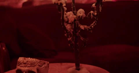 Burning candles on holder near skull in room Stock Footage 260559853
