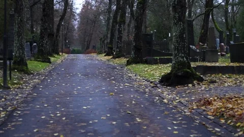 Burning candles placed on graves in a quiet cemetery, 4K ultra HD. Stock Footage 320641398