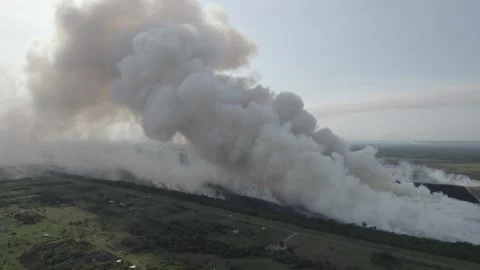 Burning of cane fields Stock Footage 270311080