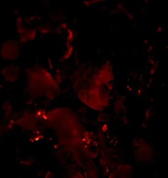 Burning charcoal in the background Stock Photos