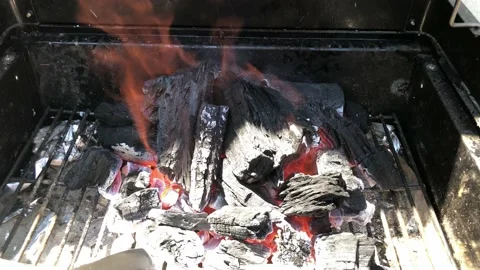 Burning Charcoal Stock Footage 155698219