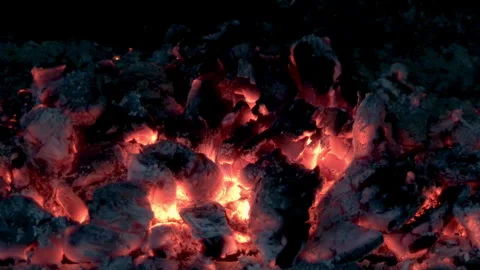 Burning Charcoals Close-Up Stock-Footage 310051071