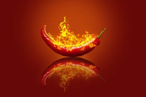 Burning chili pepper on red with reflection Stock Photos