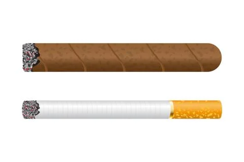 Burning cigar vector illustration isolated on white background Illustrazione stock