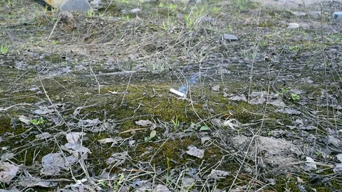 Burning cigarette butt falls to the ground Stock Footage 108224155