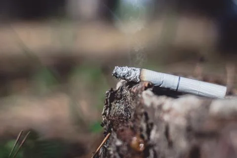 Burning cigarette in the forest, close up. Stock-Fotos