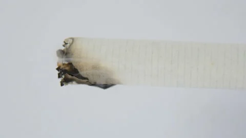 Burning Cigarette, macro time lapse Stock Footage 88997926