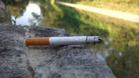 A burning cigarette in nature Stock Footage 107834126