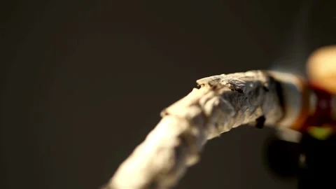 Burning cigarette shows long grey ash and rising smoke Video stock 333817378