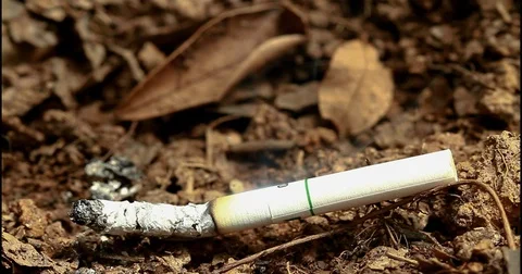 A Burning Cigarette Stub Stock Footage 83186468