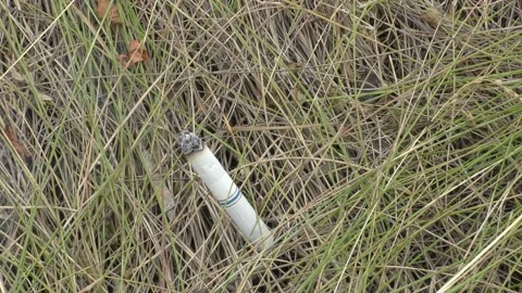 A burning cigarette thrown into dry grass can cause a fire. Stock Footage 133003550