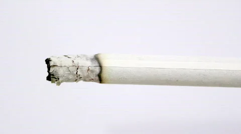 Burning Cigarette Time Lapse Stock Footage 563048