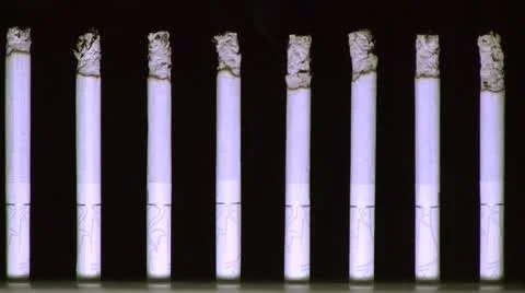 Burning cigarettes Stock Footage 10855018