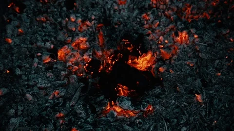 Burning Cinders Stock Footage 81297422