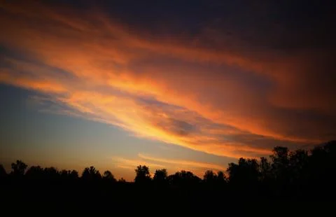Burning clouds over the sunset forest background Foto stock