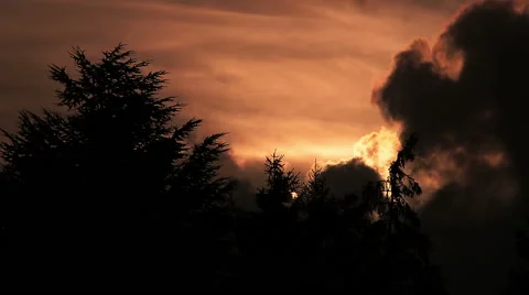 Burning clouds at sunset behind the trees: timelapse Stock-Footage 55795919