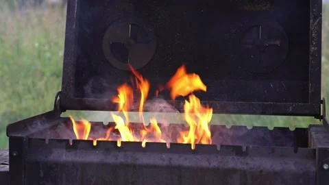 Burning coal and wood fire in a barbecue grill Stock Footage 344236791