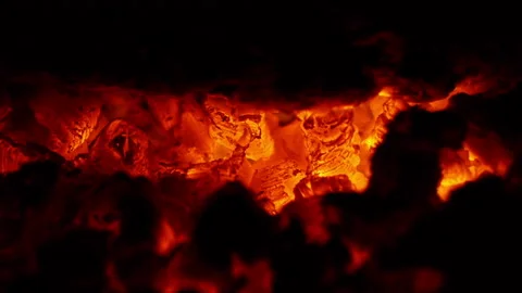 Burning coal Stock Footage 221648559