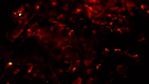 Burning coal Stock Footage 221648641