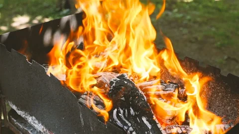 Burning coal. Slow motion. Beautiful flame of fire. Stock-Footage 101467875