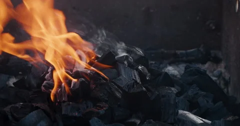 Burning coals in the brazier Stock Footage 242502797