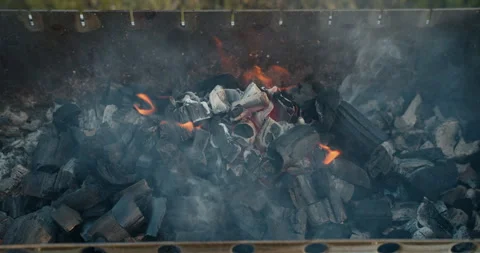 Burning coals in the brazier Stock Footage 242502892