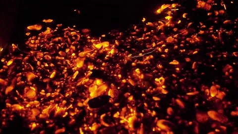 Burning coals in the grill Stock Footage 140867606