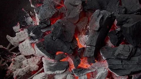 Burning coals in the grill. Summer BBQ Stock Footage 155774800