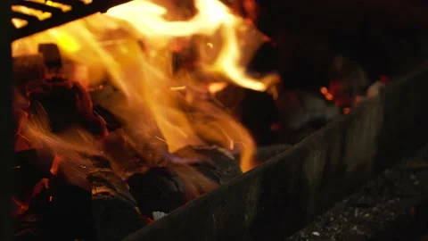 Burning coals interfere with the poker Stock Footage 220727851