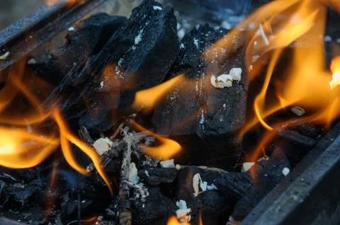 Burning coals Stock Photos