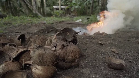 Burning coconut husks Stock Footage 113436824
