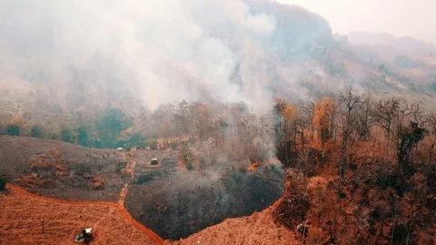 Burning crop on countryside . Farm and ecosystems crisis. Toxic haze from dry Stock Footage 126834026
