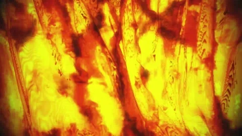Burning Curtains Transition Stock Footage 130445615
