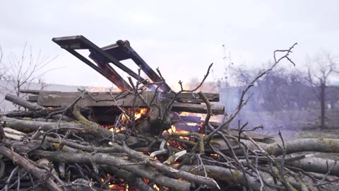 Burning cut tree branches, debris and boards in the fall Stock Footage 228388715