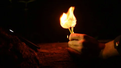 Burning dandelions in the dark Stock Footage 130129973