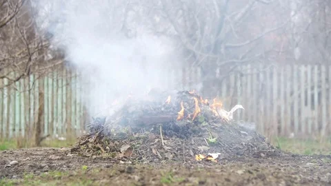 Burning Debris, Leaves, Small Trees and Weeds in the Garden on own Plot. Slow Vídeos de archivo 73947010