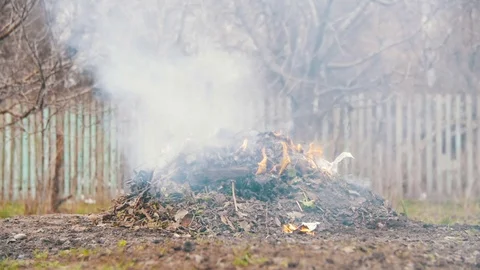 Burning Debris, Leaves, Small Trees and Weeds in the Garden on own Plot. Slow Vídeos de archivo 74026684