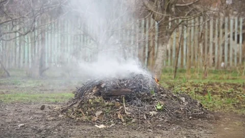 Burning Debris, Leaves, Small Trees and Weeds in the Garden on own Plot. Slow Vídeos de archivo 74062131