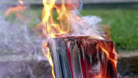 Burning diary notebook pages on grass background. Smoky book with fire. Stock Footage 283085546