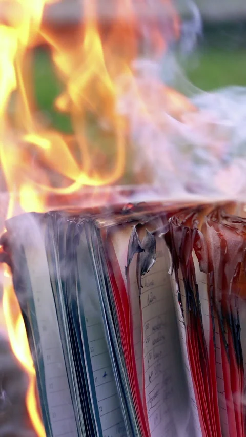 Burning diary pages with smoke Vertical video. Stock Footage 342929008