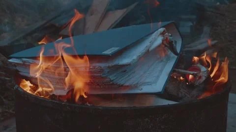 Burning documents, documents are burning Stock Footage 320980725