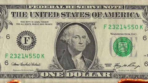 Burning Dollar Note Stock Footage 72380640