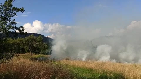 Burning dried grass Stock Footage 149943836