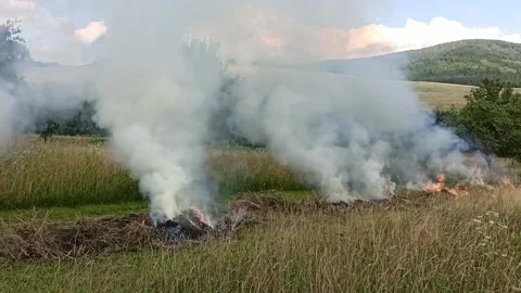 Burning dried grass Stock Footage 149943861
