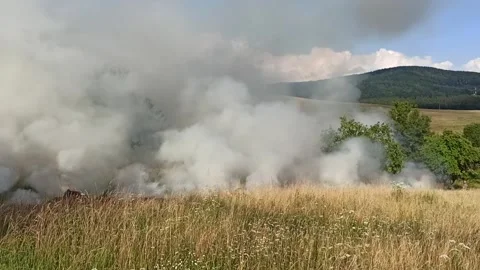 Burning dried grass Stock Footage 149989300